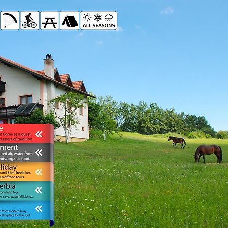 Eco Farm Milanovic Guest House Despotovac Eksteriør bilde