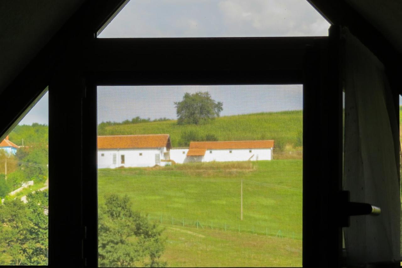 Eco Farm Milanovic Guest House Despotovac Eksteriør bilde