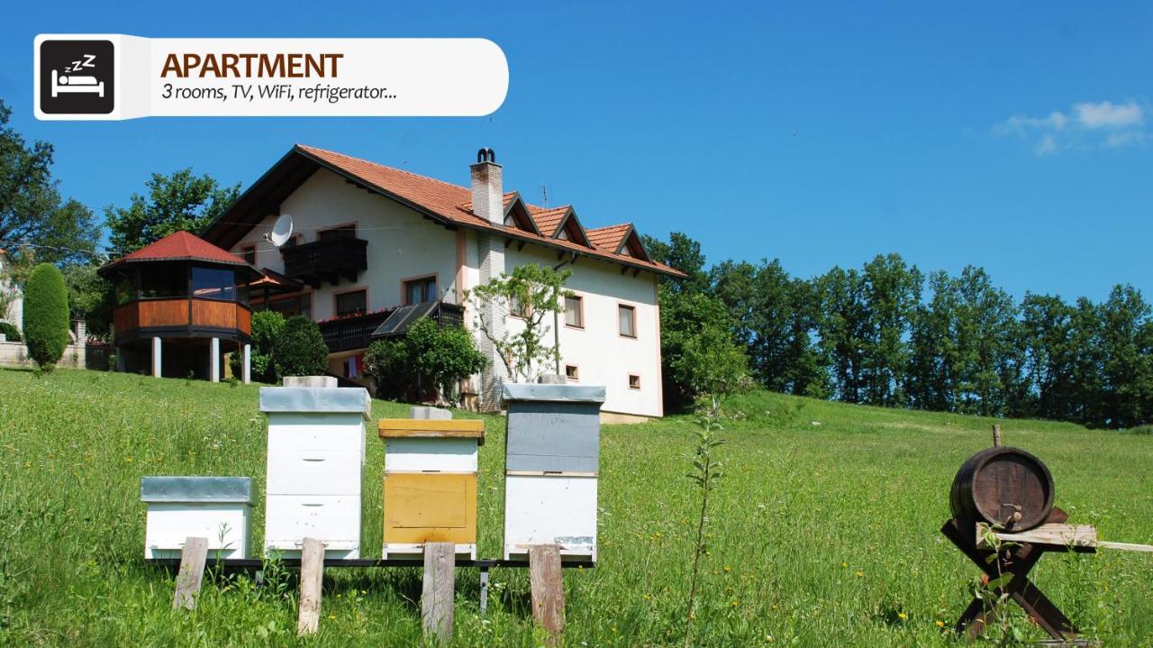Eco Farm Milanovic Guest House Despotovac Eksteriør bilde