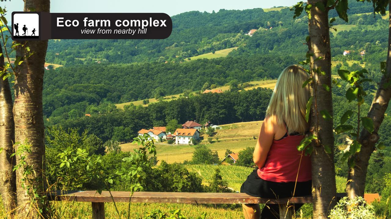 Eco Farm Milanovic Guest House Despotovac Eksteriør bilde