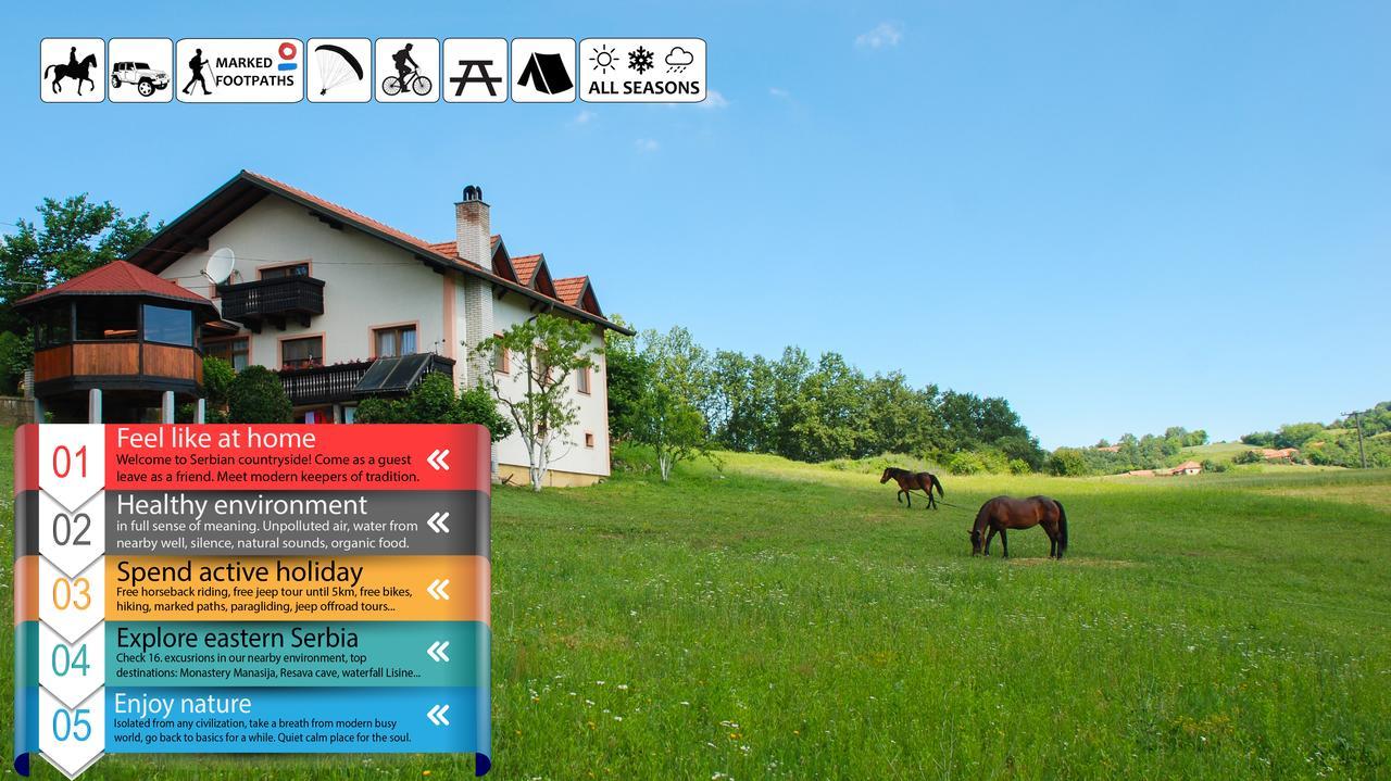 Eco Farm Milanovic Guest House Despotovac Eksteriør bilde